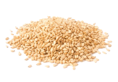 Sesam